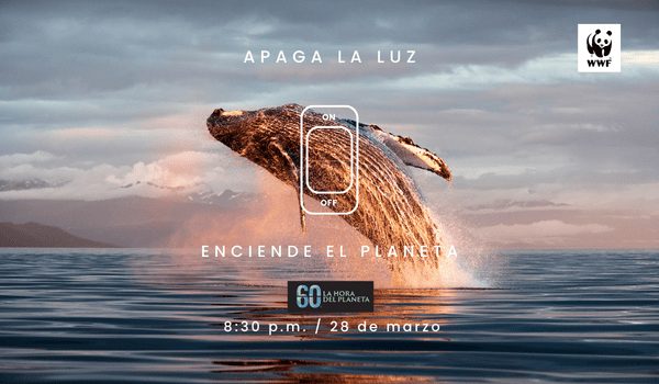 La Hora del Planeta en Colombia — material visual publicado por WWF Colombia
