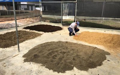 Restauración del bosque húmedo en Córdoba — material visual publicado por Fundación Natura