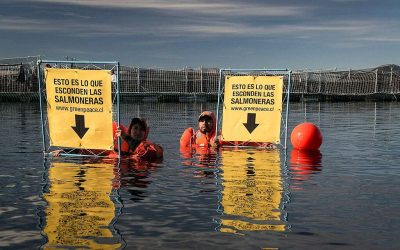 Acción de Greenpeace en instalaciones salmoneras. Foto: Greenpeace.