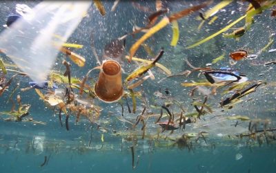 Oceana y la reducción de plásticos en Chile — material visual publicado por Oceana Chile