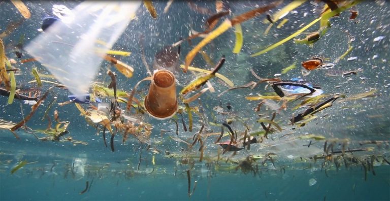 Oceana y la reducción de plásticos en Chile — material visual publicado por Oceana Chile