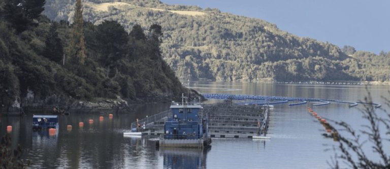 Oceana y la regulación de la salmonicultura — material visual publicado por Oceana Chile