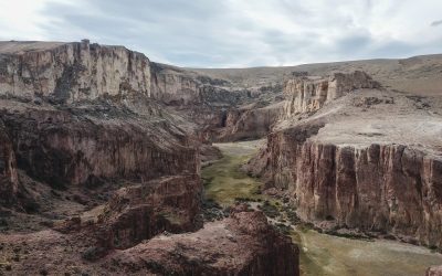 Parque Patagonia: conservación en la estepa — material visual publicado por Rewilding Argentina