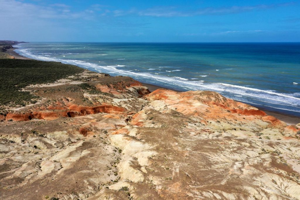 Patagonia Azul: conservación marina en Chubut — material visual publicado por Rewilding Argentina