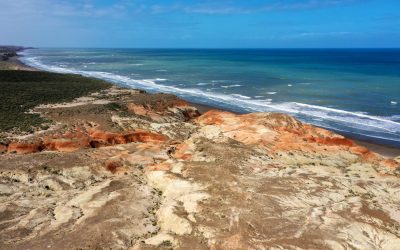 Patagonia Azul: conservación marina en Chubut — material visual publicado por Rewilding Argentina