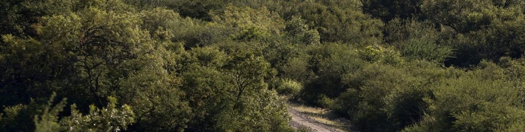 Programa Córdoba de Aves Argentinas — material visual publicado por Aves Argentinas