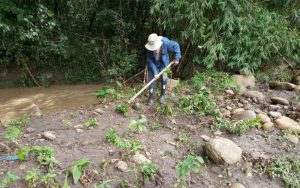 Quebrada Campos: conservación de una microcuenca — material visual publicado por Fundación Natura