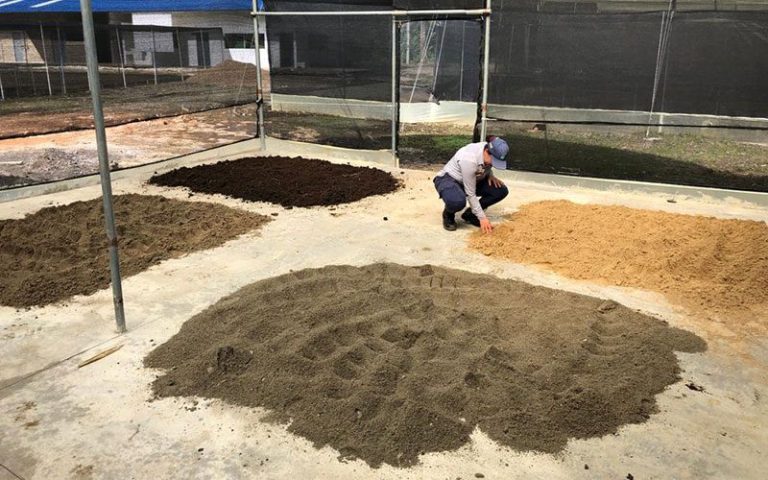 Restauración del bosque húmedo en Córdoba — material visual publicado por Fundación Natura