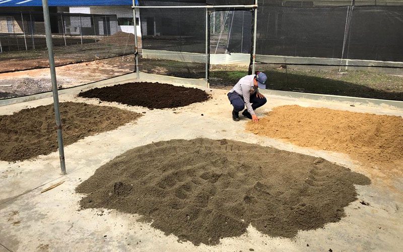 Restauración del bosque húmedo en Córdoba — material visual publicado por Fundación Natura