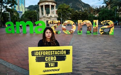 Acción por la Amazonía en el Parque de los Periodistas.