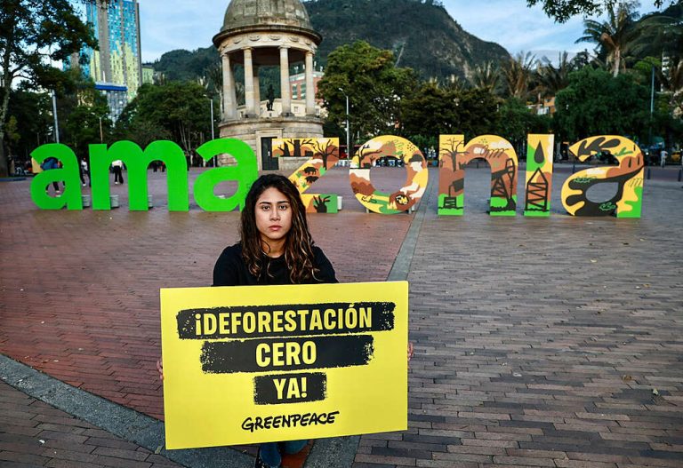 Acción por la Amazonía en el Parque de los Periodistas.