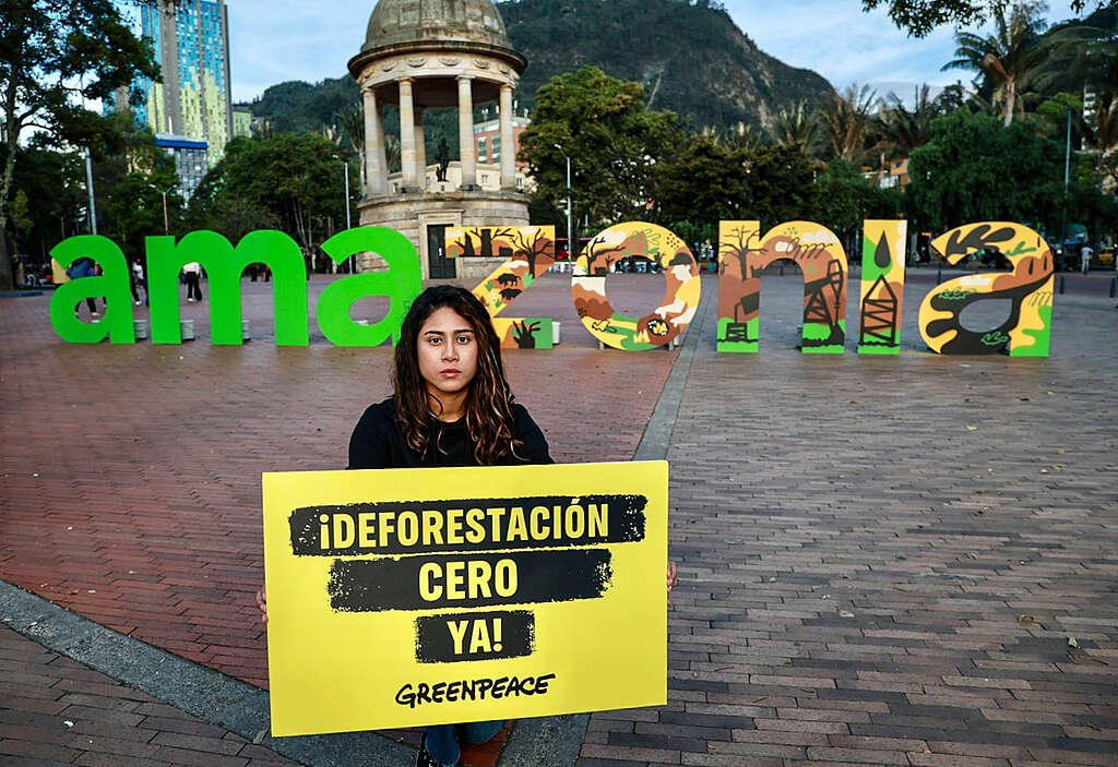 Acción por la Amazonía en el Parque de los Periodistas.