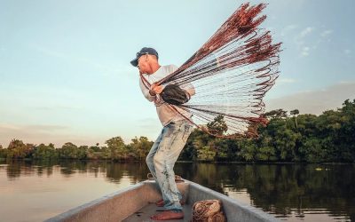 San Silvestre: un laboratorio vivo de humedales — material visual publicado por Fundación Natura