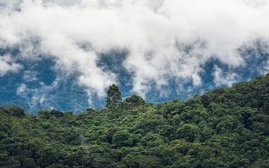 Territorios Productivos de Vida y Paz — material visual publicado por Fundación Natura