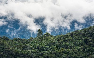 Territorios Productivos de Vida y Paz — material visual publicado por Fundación Natura